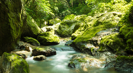 水道水以上に安全な水